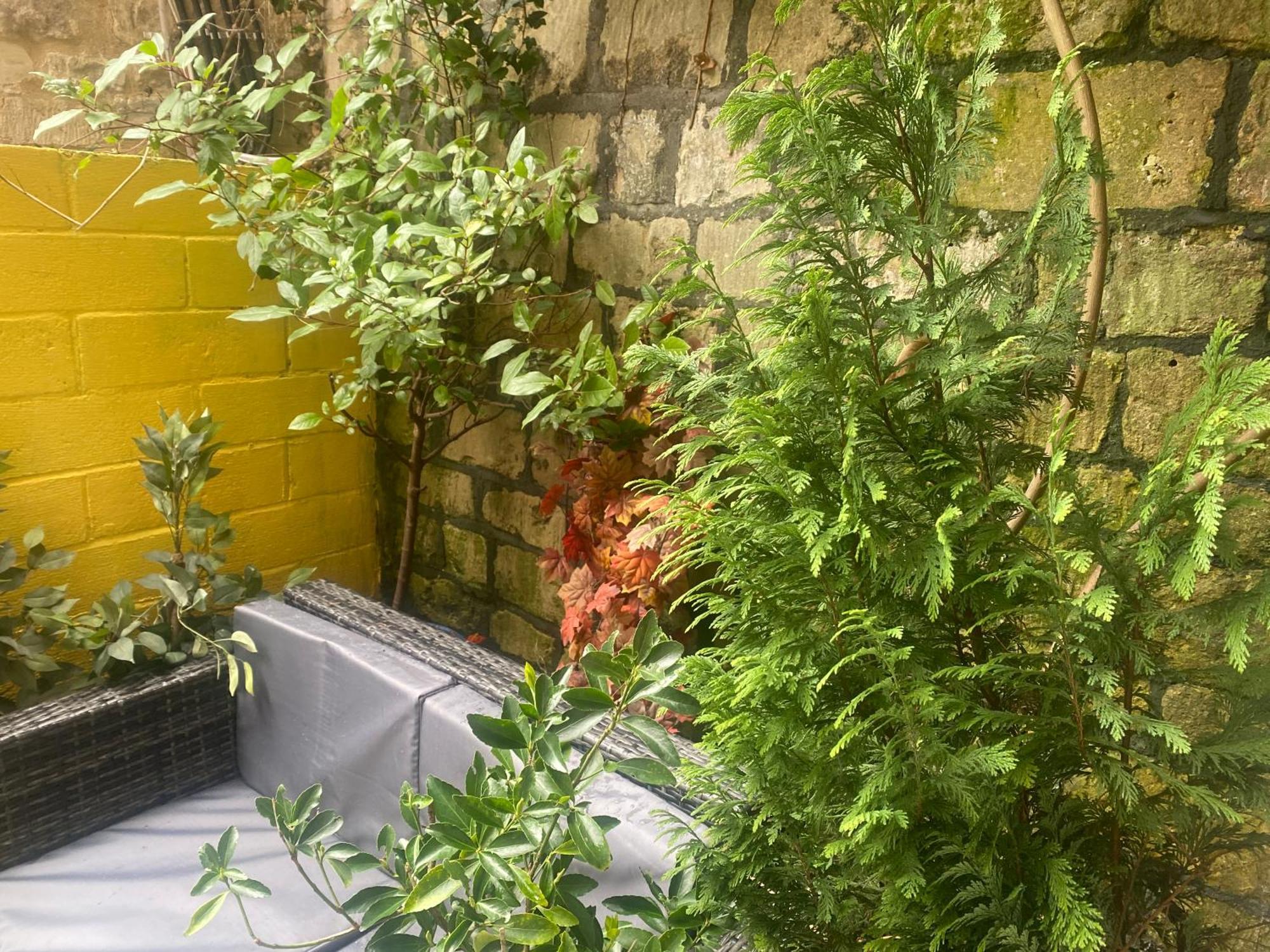 Quiet Lower Floor 2 Bed City Apartment With Private Patio Garden Bath Exteriér fotografie